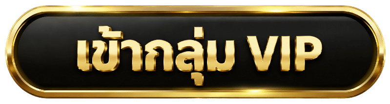 เข้ากลุ่ม VIP