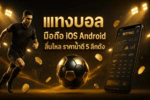 แทงบอล มือถือ iOS Android